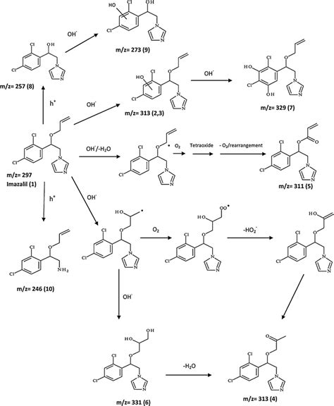 Tentative degradation pathway of imazalil. | Download Scientific Diagram