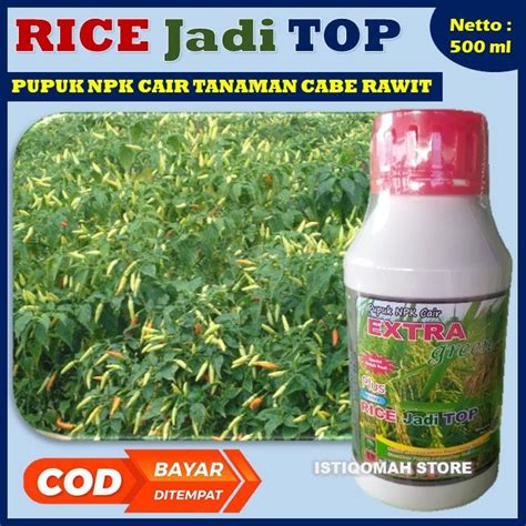 Promo Cod Rice Jadi Top Ml Pupuk Npk Cair Pelebat Buah Cabe Rawit