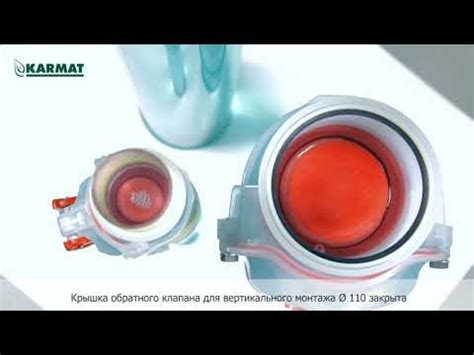 Вертикальный клапан обратный: 110 ZB 110 PION - Karmat