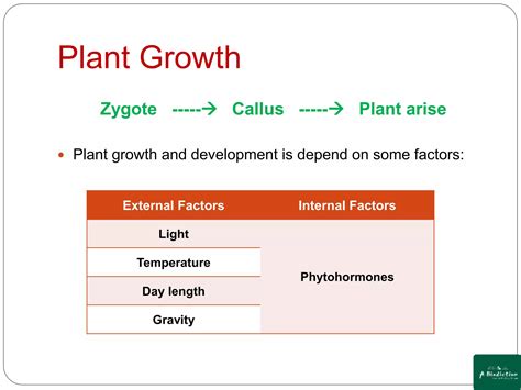 Plant Growth Regulators Ppt Free Download