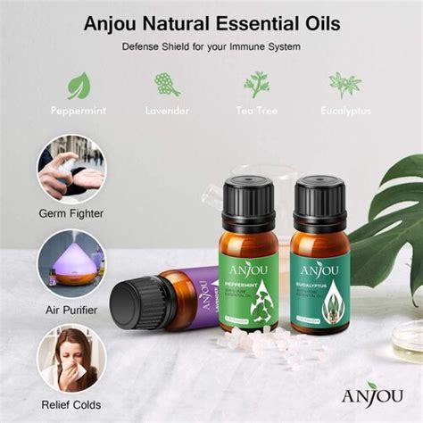 Anjou 100 Pure And Healthy Essential Oil Set Of 14 Bottles In Beautiful