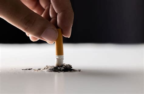 Governments Urged To End Cigarette Sales Tobacco Reporter