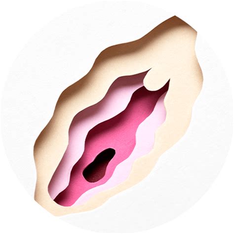 Conhe A O C Ncer De Vulva E C Ncer De Vagina