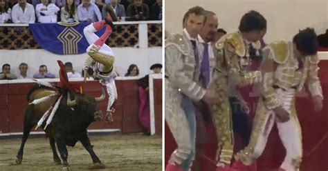 Bullfighter Grabs His Testicles After Being Gored In His Privates