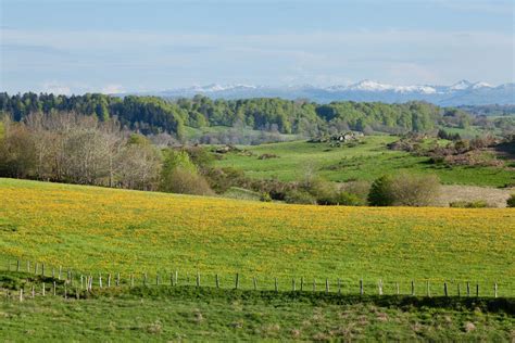 Free Stock Photo Of Agriculture Auvergne Country Countryside Farm