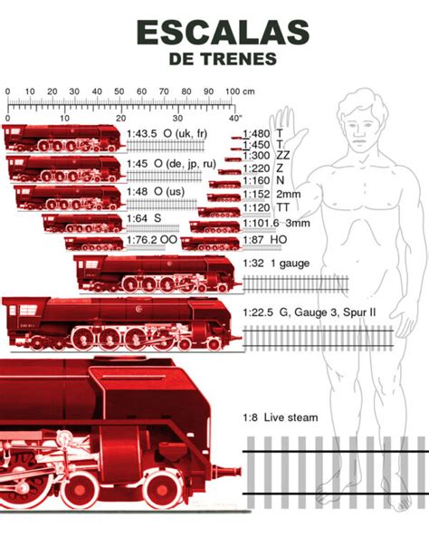 ᐈ Las escalas de trenes Juguetes de Colección