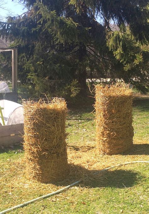 THE POTATO TOWER EXPERIMENT | The Impatient Gardener