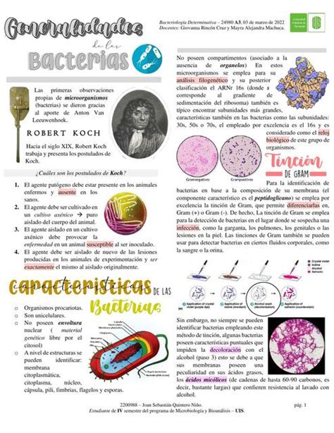 Generalidades características y clasificación de las bacterias