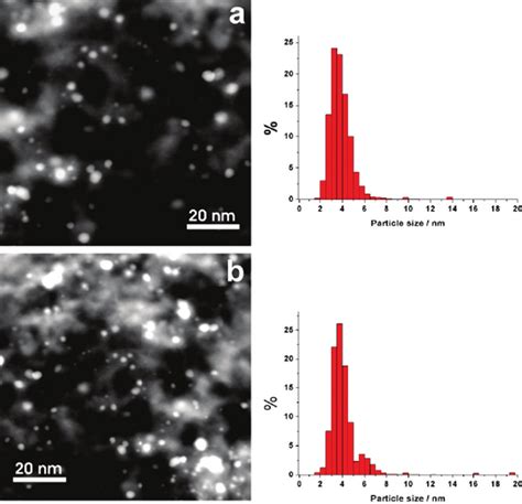 Stem Haadf Images And Gold Particle Size Distribution Histograms Of