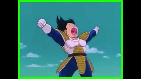 Vegeta Vs Goku First Fight ~ Mort Combien | Klasrisase