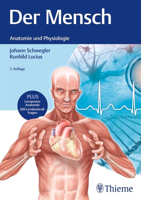 Der Mensch Anatomie Und Physiologie