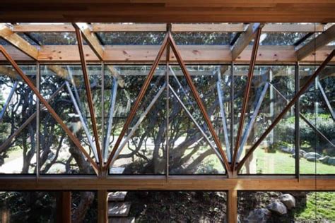 New Zealand Beach House Covered By A Canopy Of Pohutukawa Trees