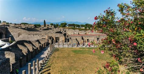 Pompei Tour Del Parco Archeologico Con Ingresso Prioritario GetYourGuide