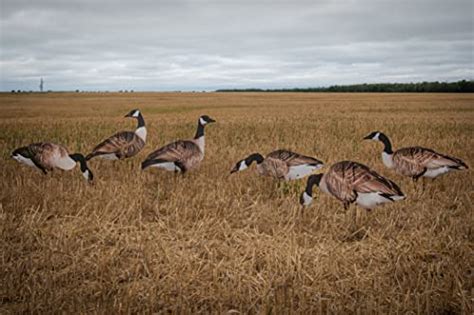 Best Goose Silhouette Decoys To Up Your Hunting Game