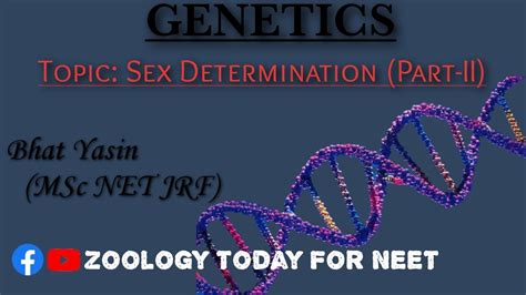 Sex Determination Part II Genetics For NEET 12th YouTube