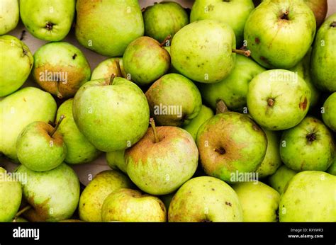 apple fruit background Stock Photo - Alamy