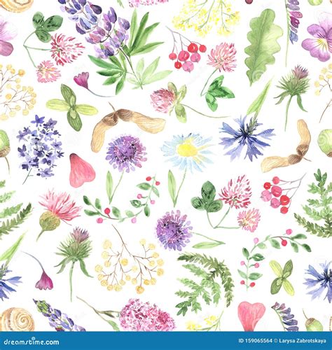 Watercolor Wild Flowers Seamless Pattern Stock Illustration