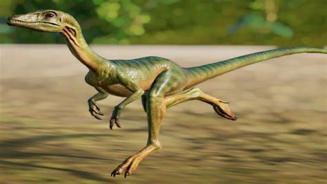 Compsognathus JURASSIC WORLD DOMINION DINOSAURS JURASSIC WORLD