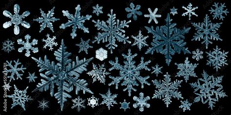 snowflakes isolate black background abstract ornament winter wallpaper
