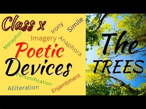 The Trees Class 10 Poetic Devices Explanation Figures Of Speech