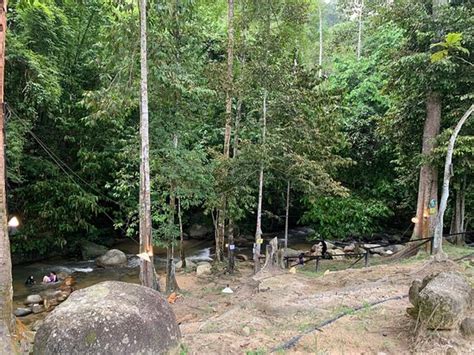 River And Glamp Bewertungen And Fotos Kuala Selangor Malaysia