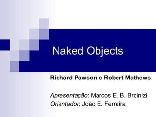 Naked Objects Ppt