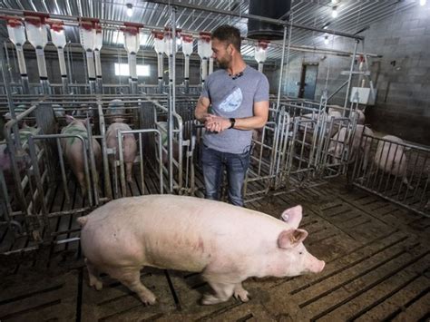 Police Remove Protesters From Abbotsford Hog Farm Allegedly Shown In