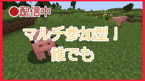 Live「参加型マインクラフト」みんなでマインクラフトしよう！！初心者マイクラ八日目 マイクラ参加型 マイクラ（minecraft）動画まとめ