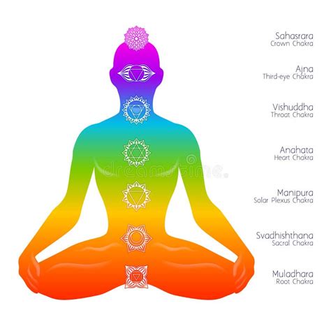 Silhueta E Chakras Meditando Coloridos Da Mulher Ilustração do Vetor