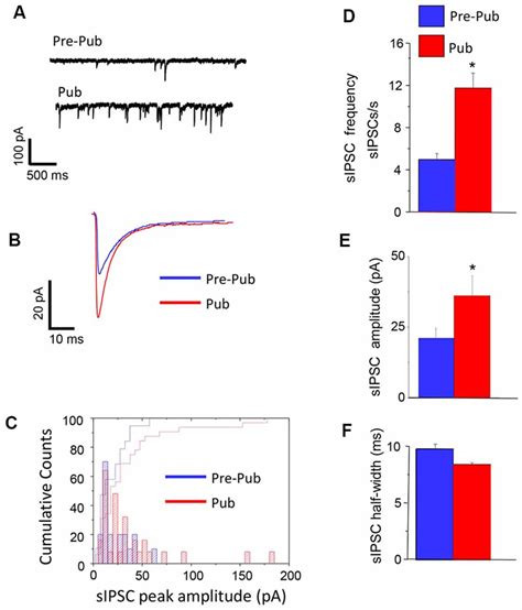 Frontiers Increased Dendritic Branching of and Reduced δ GABAA