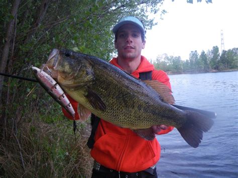 The 10 best black-bass lures - Rodmaps