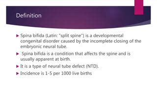 Spina Bifida Ppt Ppt