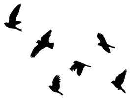 Stencil Bird - ClipArt Best