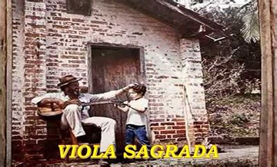 Viola Caipira Para Iniciantes A Arte De Tocar Viola Aula De Viola