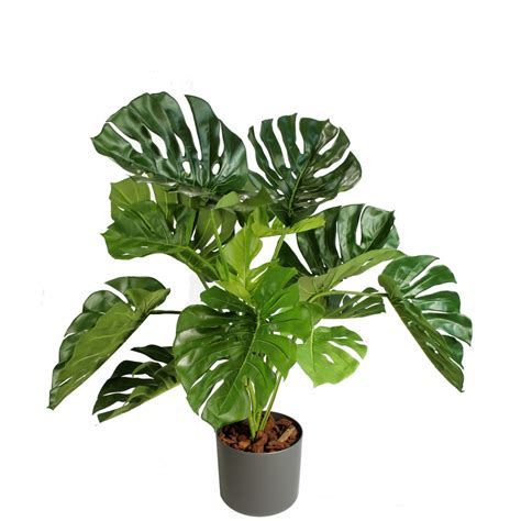 Plante Verte Artificielle Monstera 140 Cm Plante Artificielle Pas