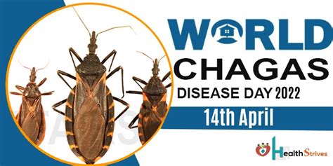 World Chagas Disease Day Facts And Prevention