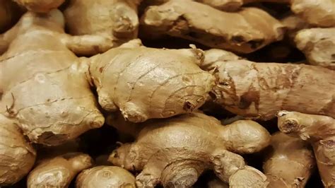 How To Store Ginger For A Long Time Storables