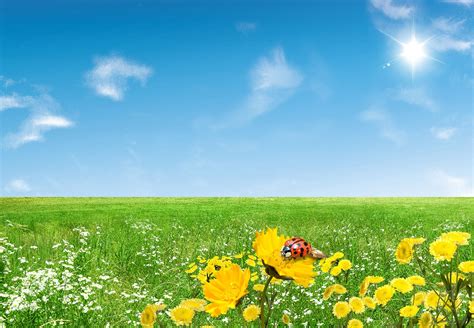 Free Spring Desktop Wallpaper | Spring desktop wallpaper, Free spring ...