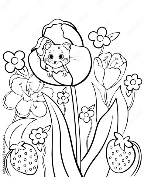 Coloring page outline of cute cartoon forest vole or mouse with flower ...