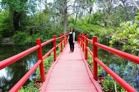 Magnolia Plantation and Gardens in Charleston, SC - Setarra