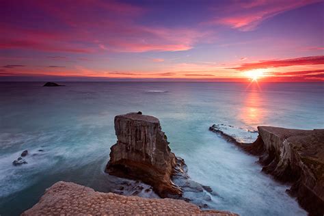 Muriwai Beach Sunset West Coast New Zealand Auckland Rocks Gannet