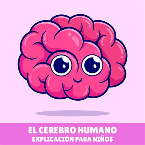 Imágenes Del Cerebro Para Niños El Cerebro Del Niño 5 Claves Para