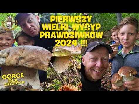 Pierwszy Wielki Wysyp Prawdziwk W W Gorcach Gorce Grzybobranie