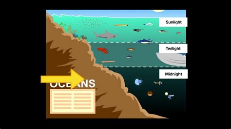 3 Major Ocean Zones