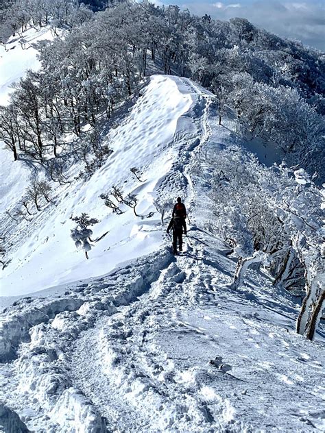 素晴らしい霧氷🧊と青空🟦で、綿向山は迎えてくれた⛰️ かこちゃんさんの綿向山の活動日記 Yamap ヤマップ