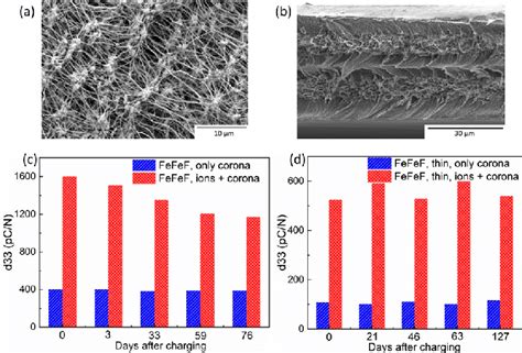 Sem Images Of A The Surface Of An Eptfe Layer And B The