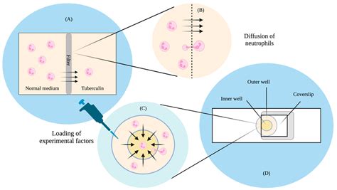 Micromachines Free Full Text Understanding The Cells Response To Chemical Signals