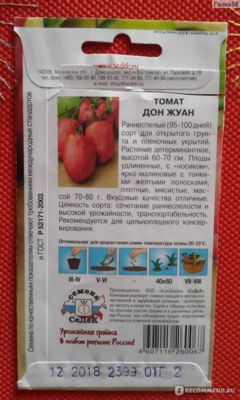 Томат Дон Жуан: характеристика и описание детерминантного сорта с фото