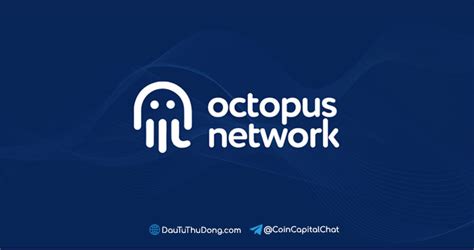 Octopus Network L G Th Ng Tin To N T P V Ng Oct Token