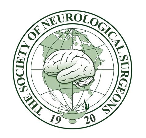 The American Board Of Neurological Surgery